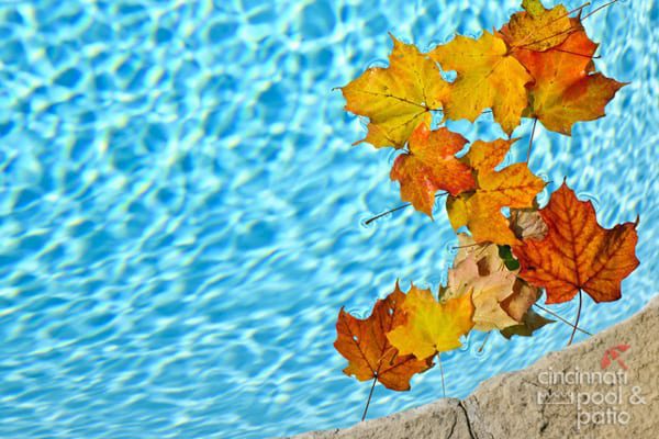 fall pool maintenance